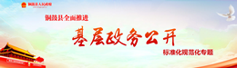 銅鼓縣全面推進基層政務(wù)公開標(biāo)準(zhǔn)化規(guī)范化專題